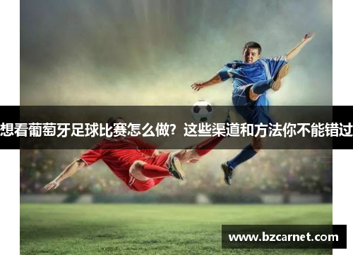 想看葡萄牙足球比赛怎么做？这些渠道和方法你不能错过