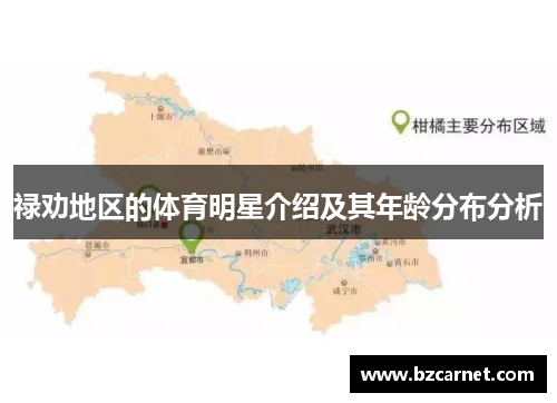 禄劝地区的体育明星介绍及其年龄分布分析