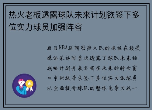 热火老板透露球队未来计划欲签下多位实力球员加强阵容