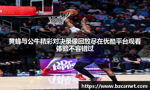 黄蜂与公牛精彩对决录像回放尽在优酷平台观看体验不容错过