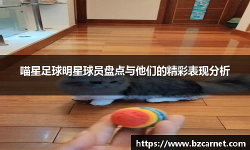 喵星足球明星球员盘点与他们的精彩表现分析