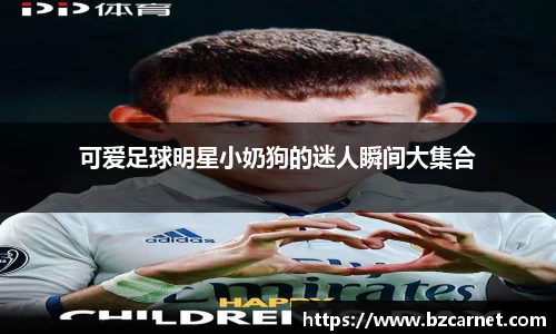 可爱足球明星小奶狗的迷人瞬间大集合