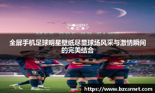 全屏手机足球明星壁纸尽显球场风采与激情瞬间的完美结合